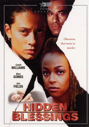 Постер: Hidden Blessings