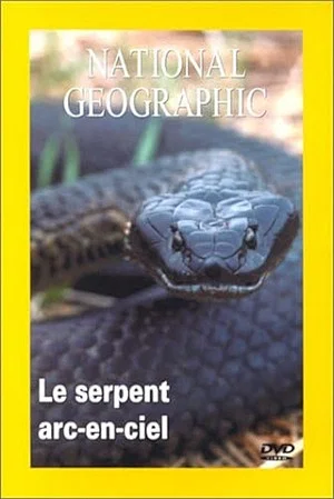 Постер: Quest for the Rainbow Serpent