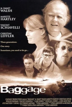 Постер: Baggage