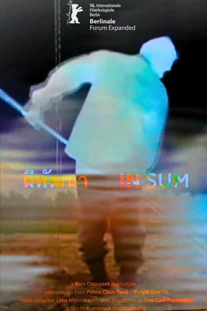 Постер: In Sum