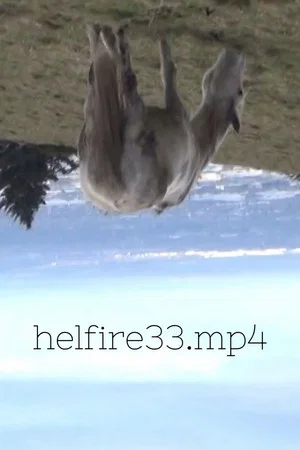 Постер: hellfire33.mp4