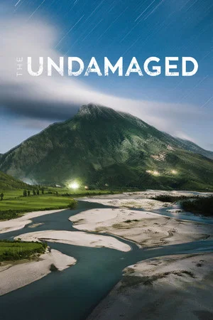 Постер: The Undamaged