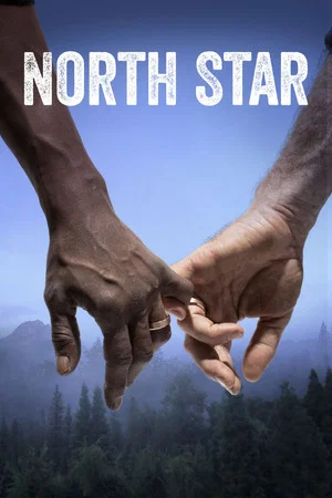 Постер: North Star