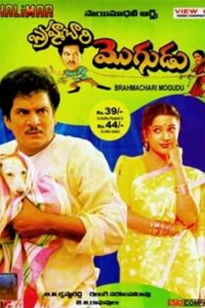 Постер: Brahmachari Mogudu