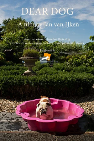 Постер: Dear Dog