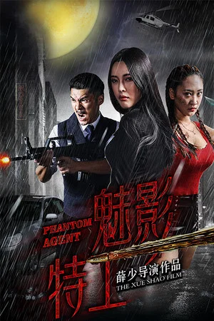 Постер: Agent Phantom