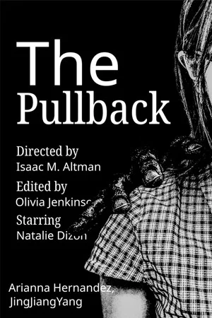 Постер: The Pullback