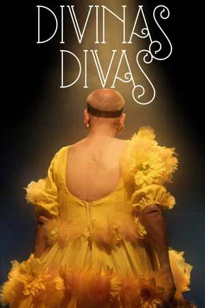 Постер: Divine Divas