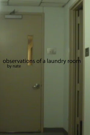 Постер: Observations of a laundry room
