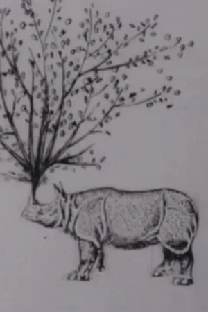 Постер: Rhinomorphose