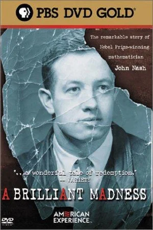 Постер: A Brilliant Madness
