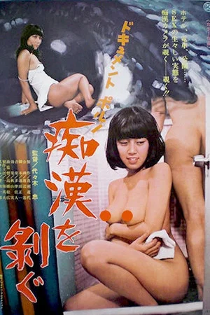 Постер: Document porno: Chikan o hagu