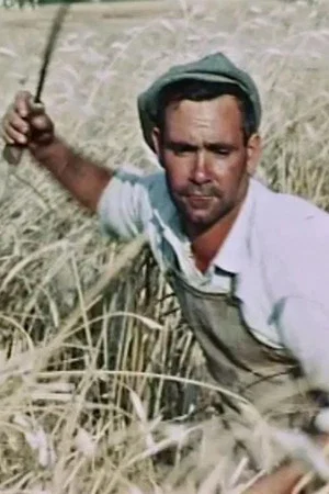 Постер: The Wheat Passion