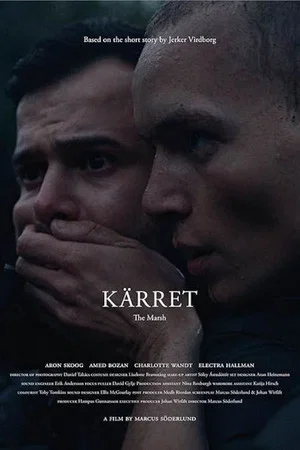 Постер: The Marsh