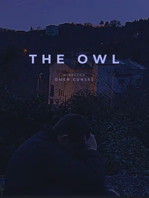 Постер: The Owl