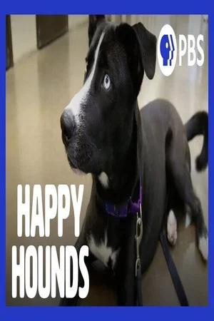 Постер: Happy Hounds