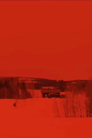 Постер: To the North for Nonexistence