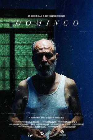 Постер: Domingo