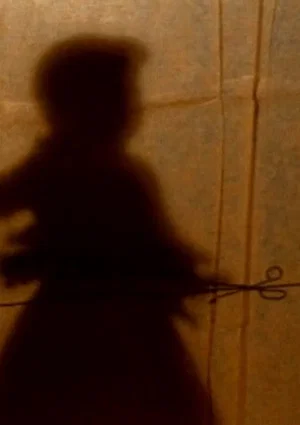 Постер: The Secret Story