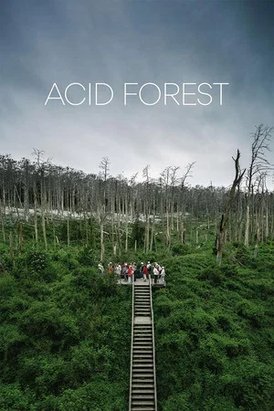 Постер: Acid Forest