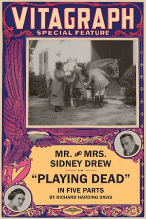 Постер: Playing Dead