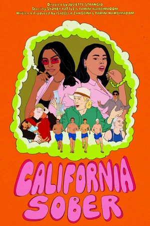 Постер: California Sober