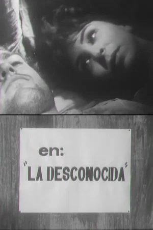 Постер: La desconocida
