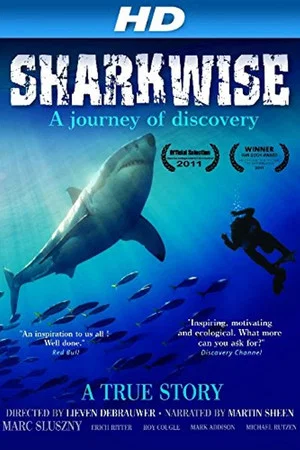 Постер: Sharkwise