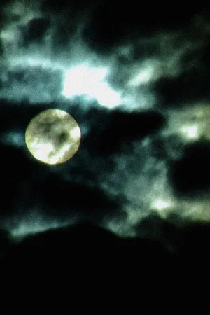Постер: Vampires Drink Blood... I Drink Sorrow