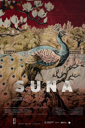 Постер: Suna