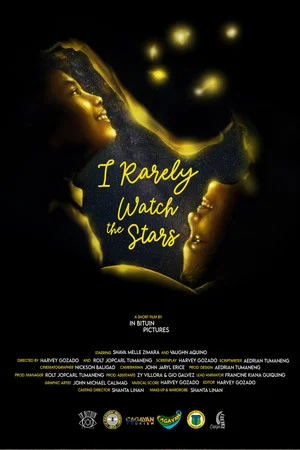 Постер: I Rarely Watch the Stars