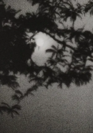 Постер: Moonplay