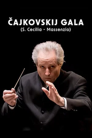 Постер: La notte bianca - Cajkovskij Gala