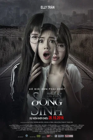 Постер: The Twins