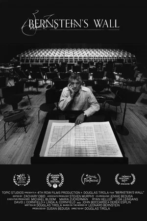Постер: Bernstein's Wall