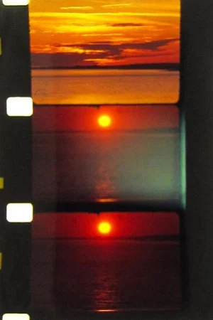 Постер: Narrow Rivers, Open Seas & Seventeen Sunsets (Silences for A Merchant Mariner)