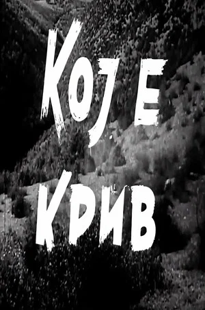 Постер: Who to Blame?