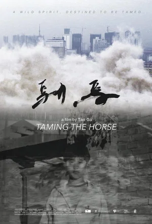 Постер: Taming the Horse