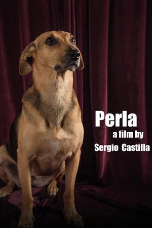 Постер: Perla