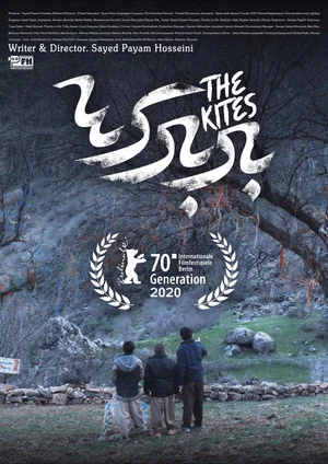 Постер: The Kites