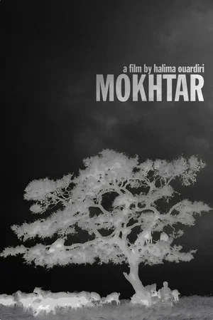 Постер: Mokhtar