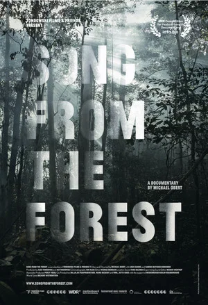 Постер: Song from the Forest