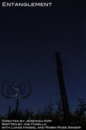 Постер: Entanglement