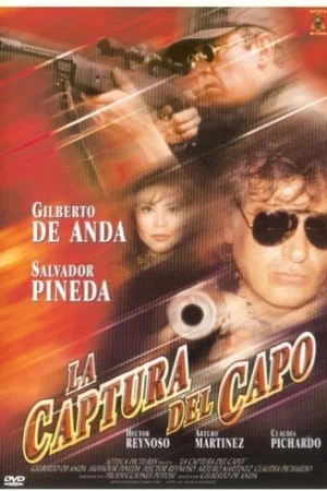 Постер: La captura del capo