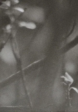 Постер: Surface Memory Oblivion