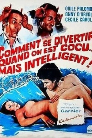 Постер: Comment se divertir quand on est cocu mais intelligent