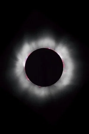 Постер: CORONAL LOOPS