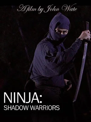 Постер: Ninja Shadow Warriors