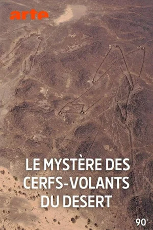 Постер: Le mystère des cerfs-volants du désert