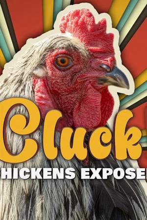 Постер: Cluck! Chickens Exposed